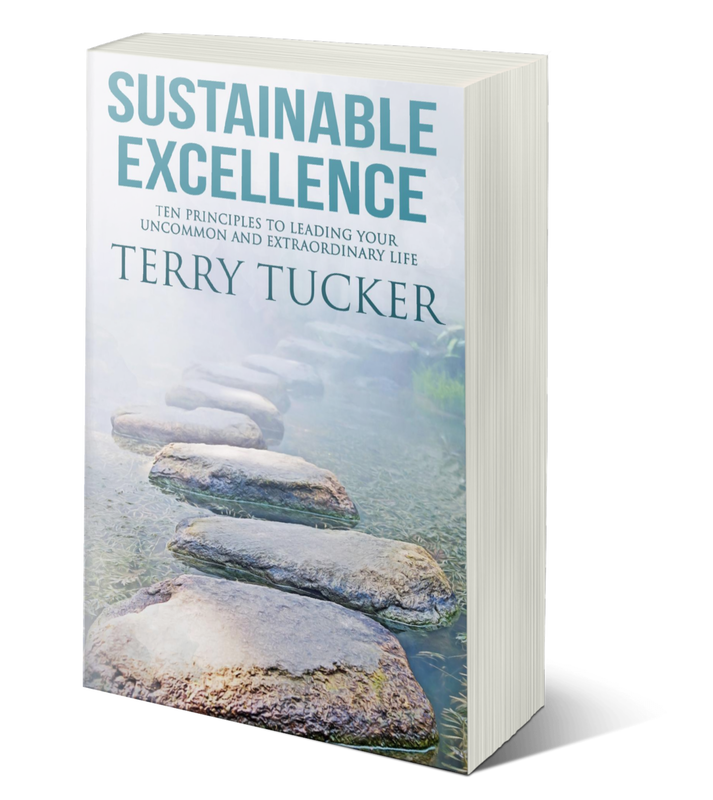 sustainable-excellence-hardcover-cover_orig